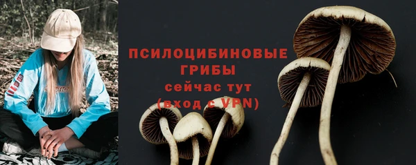 mix Баксан