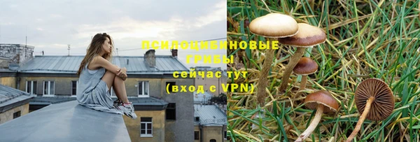 apvp Балахна